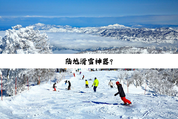 陆地滑雪神器?